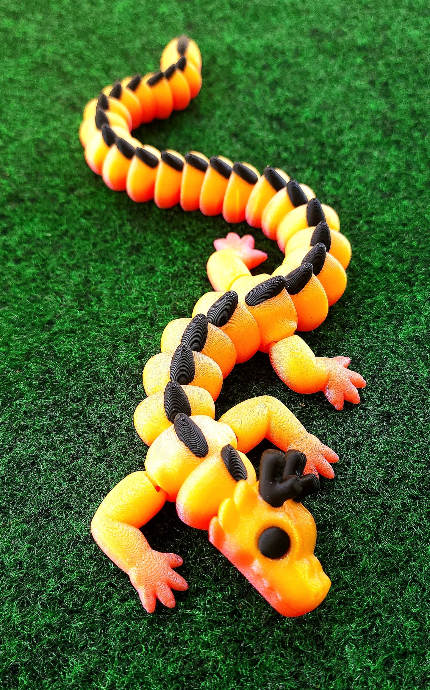 Dragons (Zou)