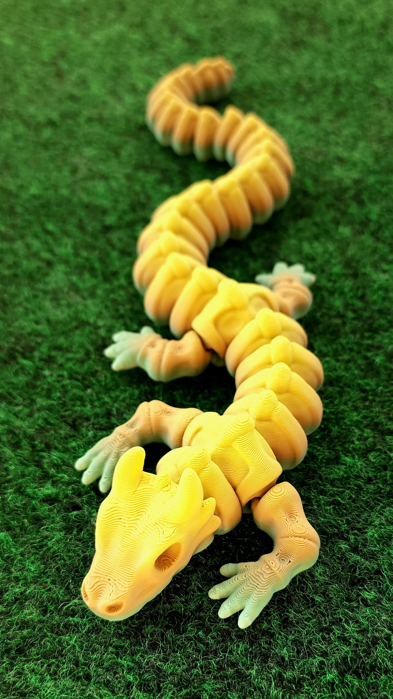 Dragons (Zou)