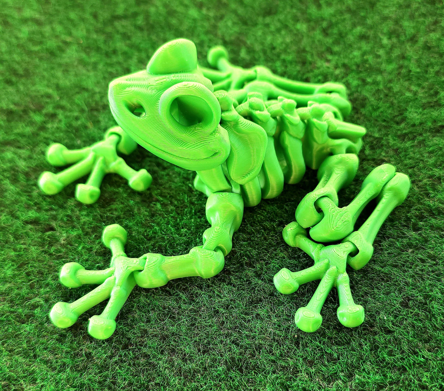 Skeleton Frog