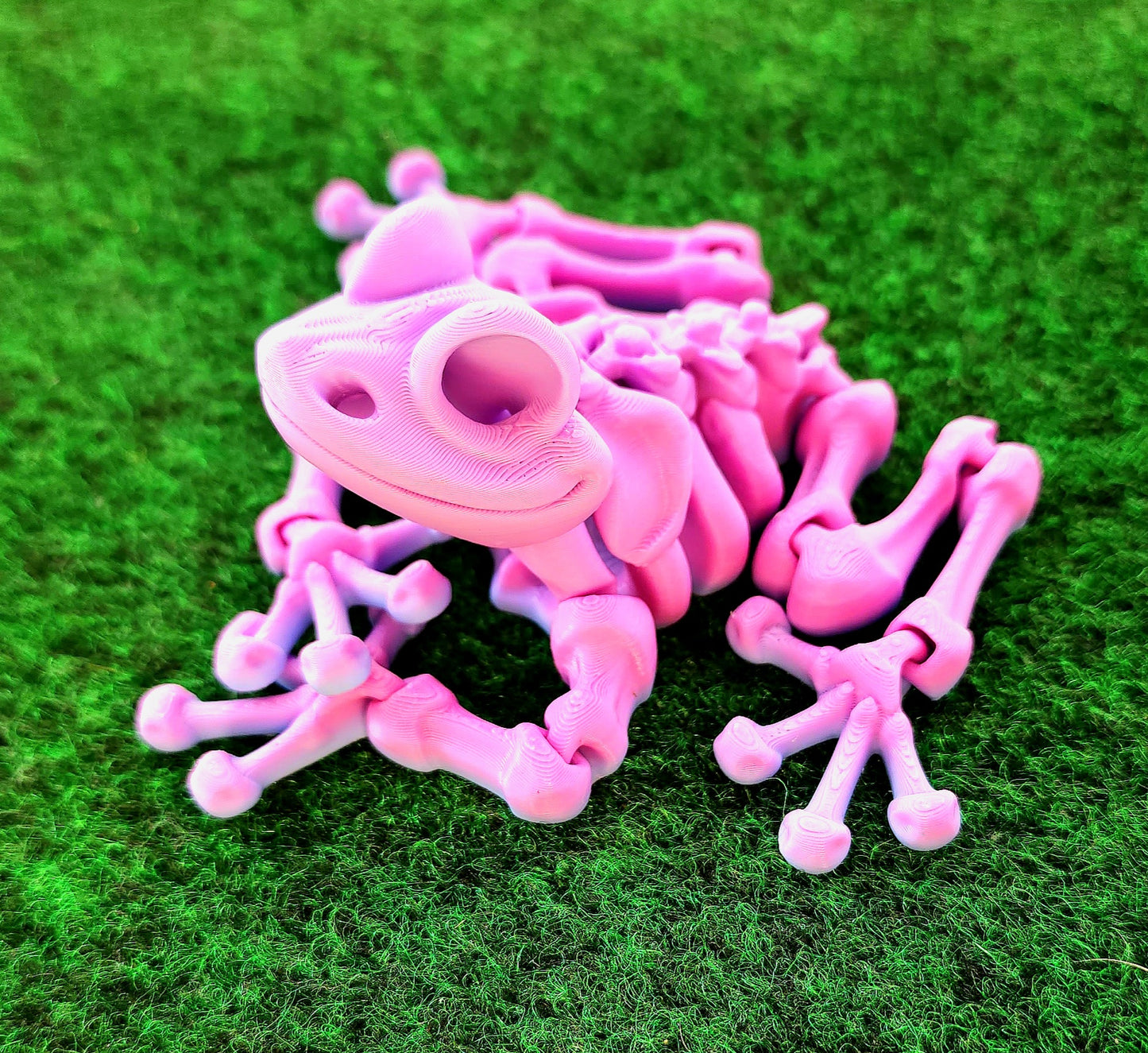 Skeleton Frog
