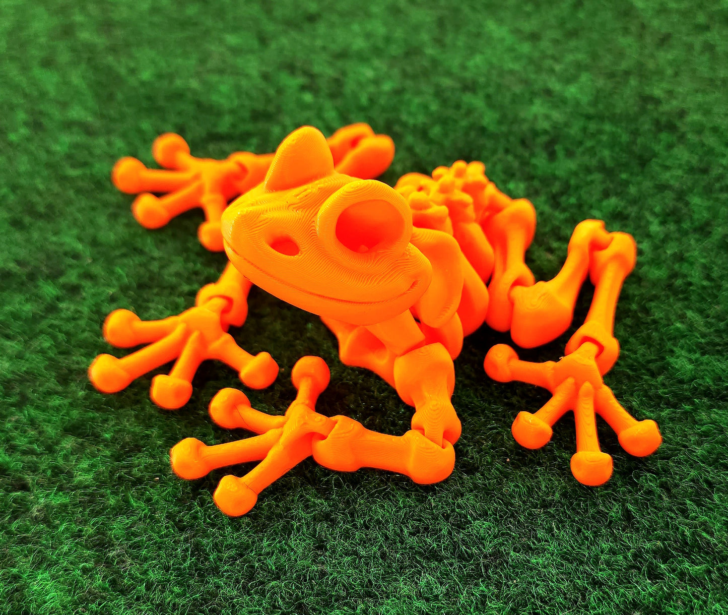 Skeleton Frog
