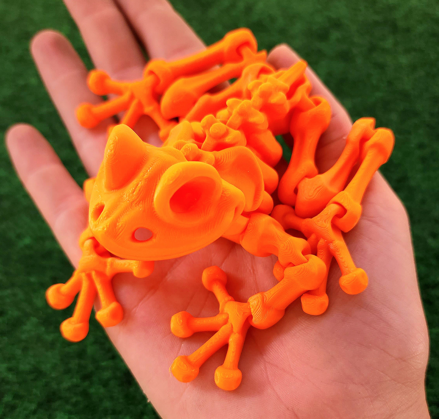 Skeleton Frog