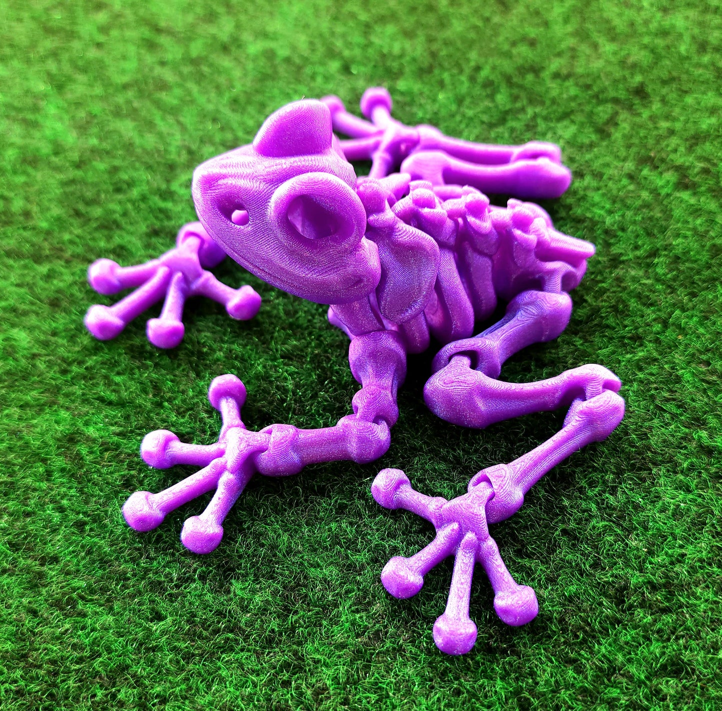 Skeleton Frog