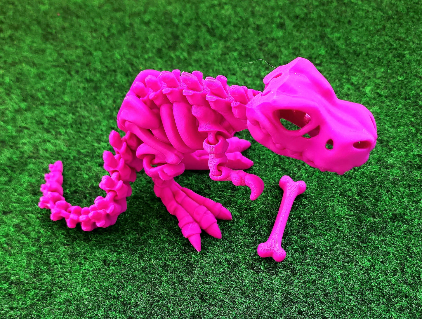 Skeleton Dino (T-Rex)
