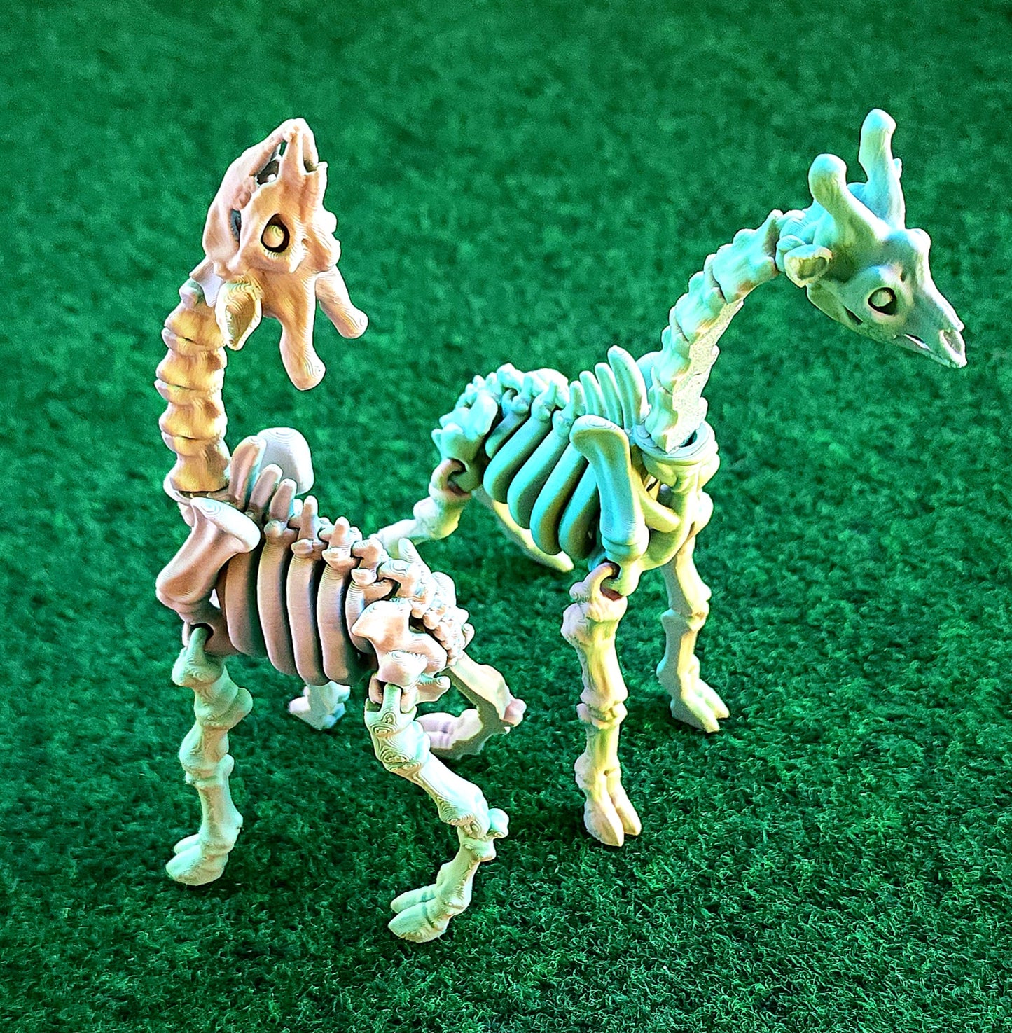 Skeleton Giraffe
