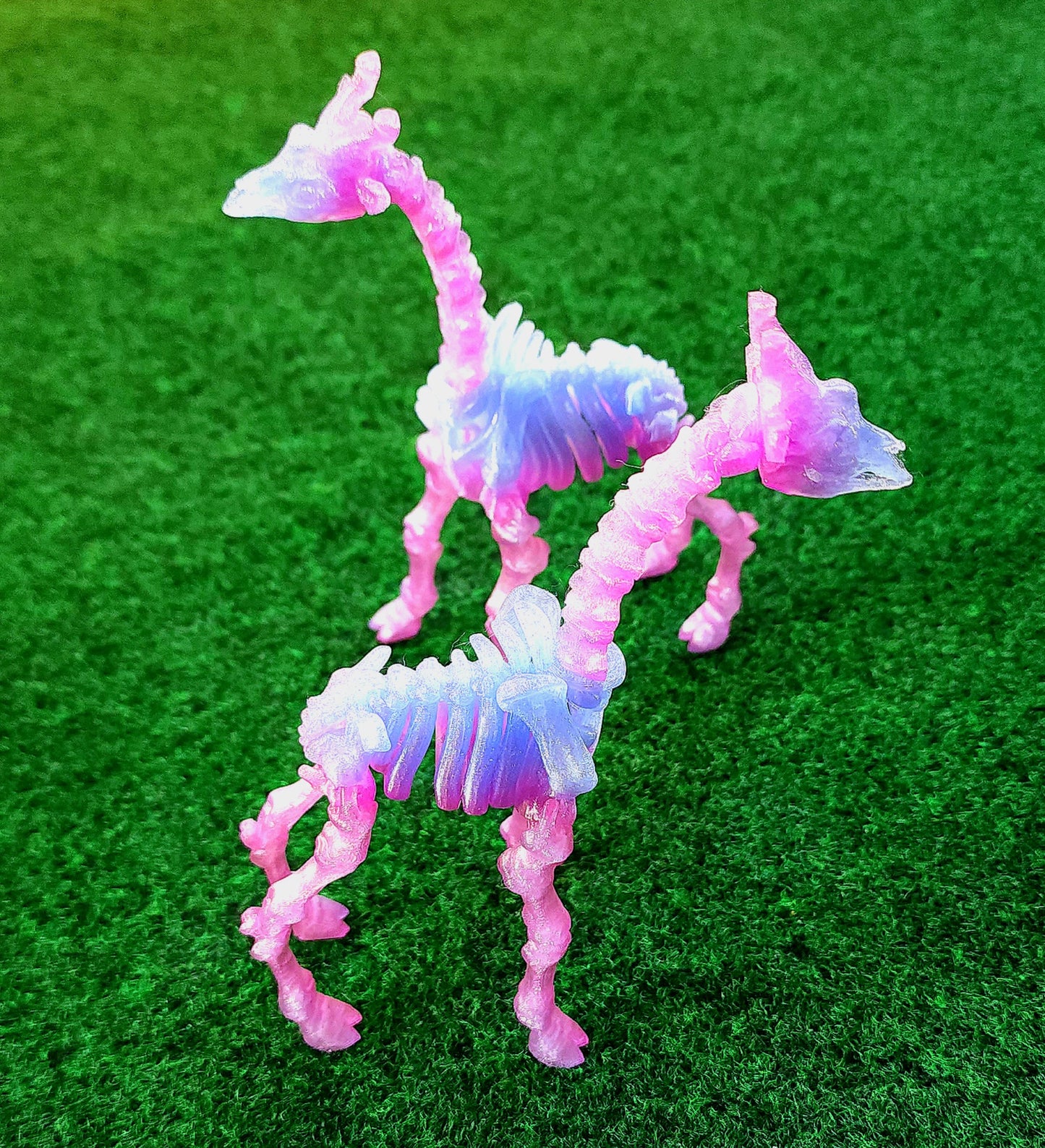 Skeleton Giraffe