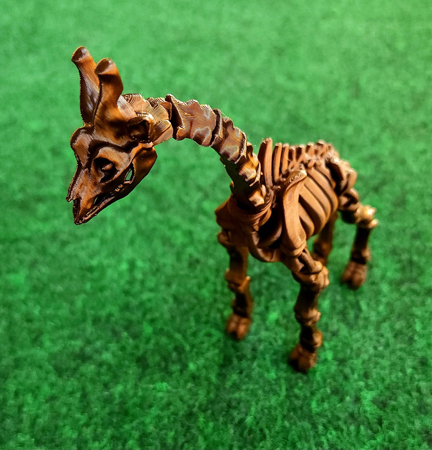 Skeleton Giraffe