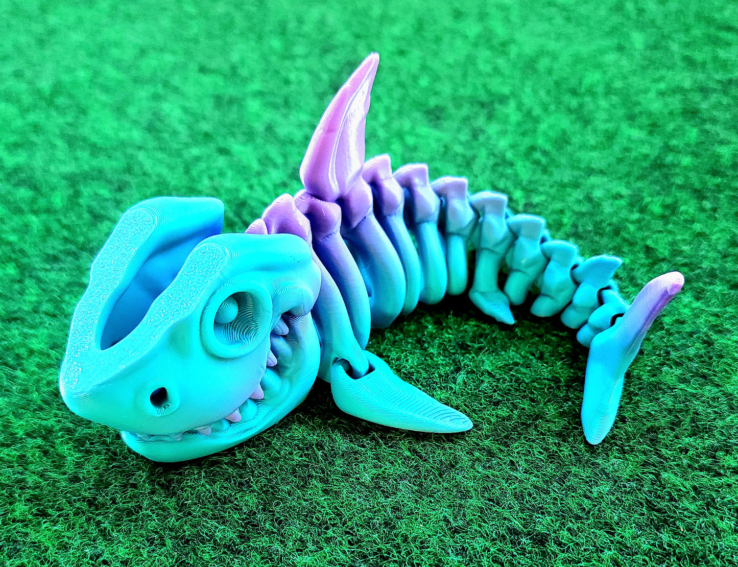 Skeleton Shark