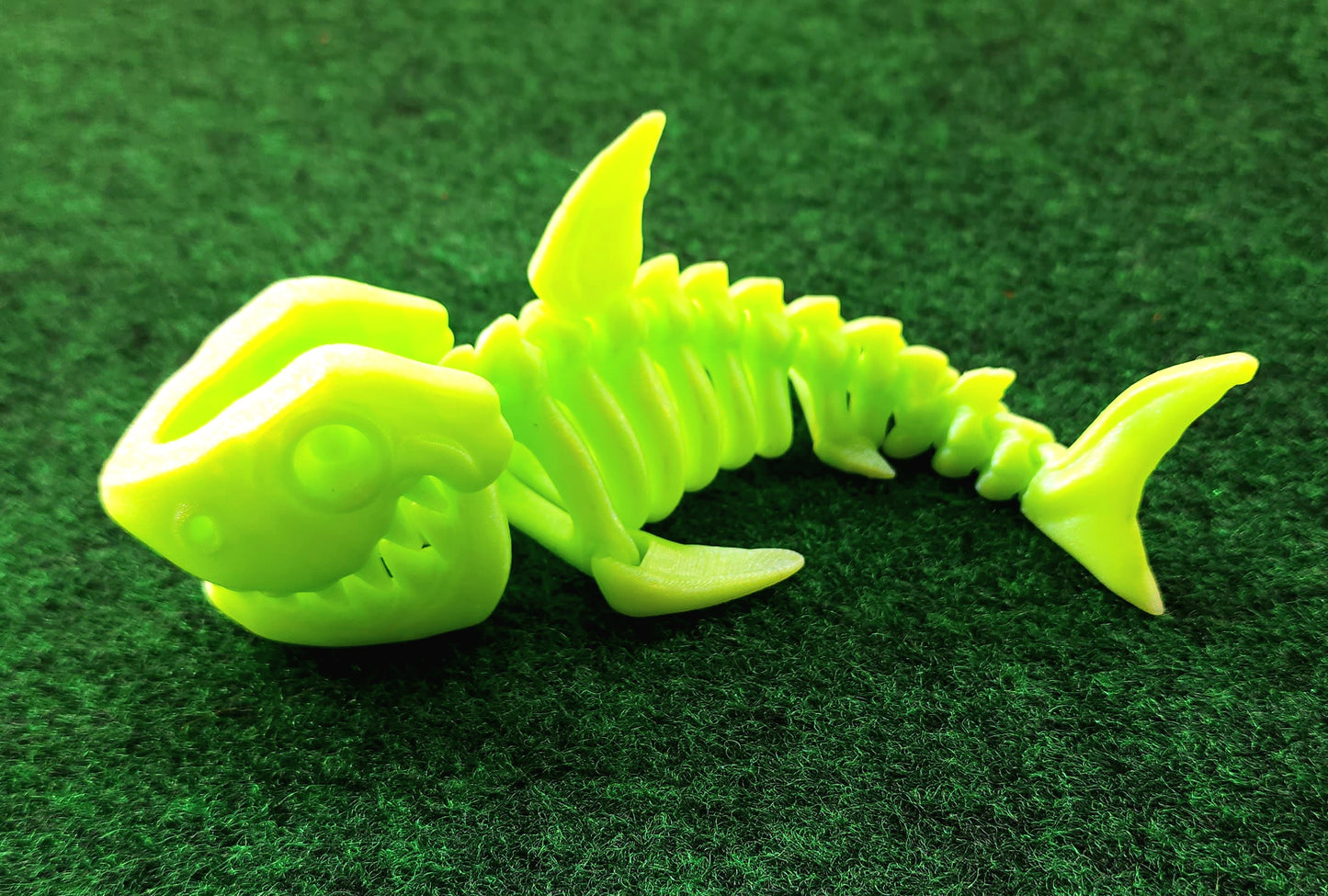 Skeleton Shark