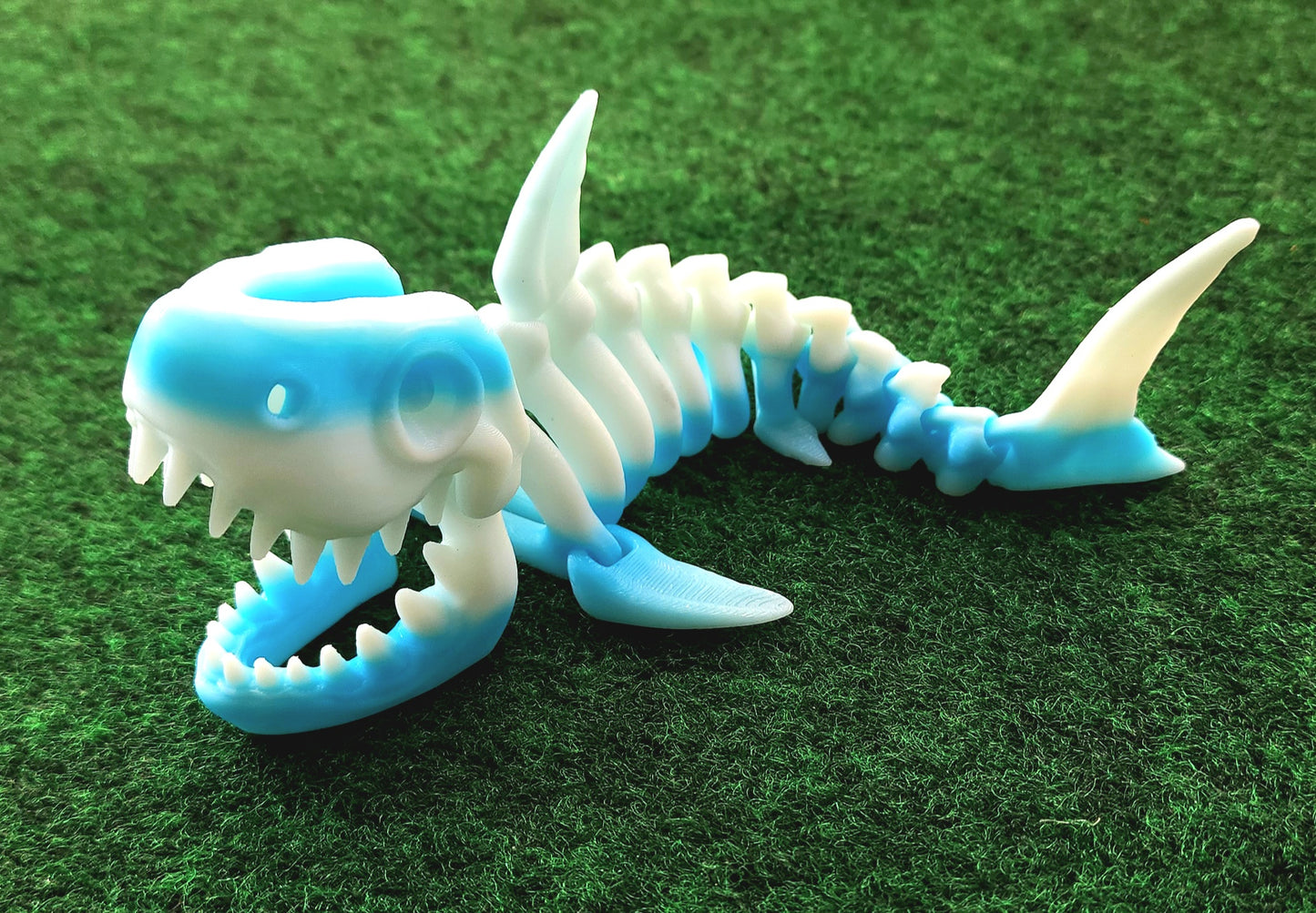 Skeleton Shark