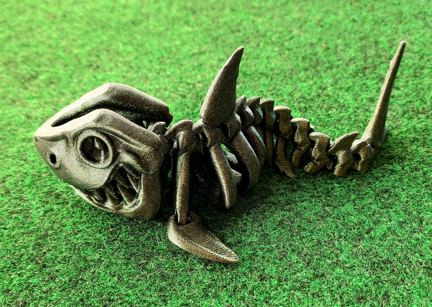 Skeleton Shark