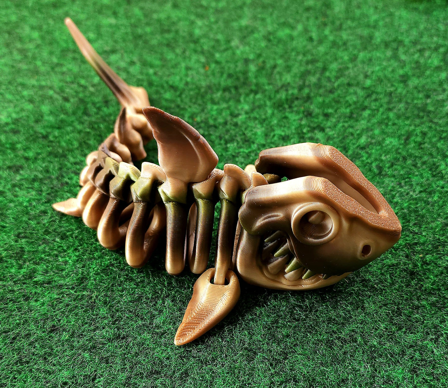 Skeleton Shark