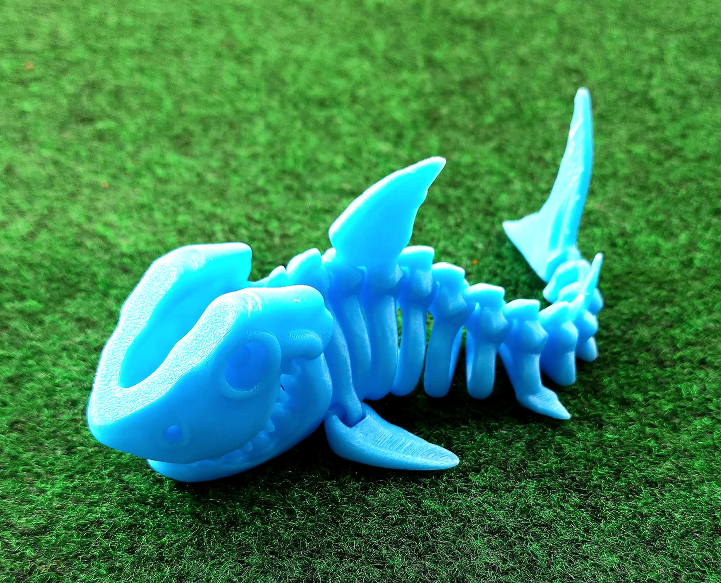 Skeleton Shark