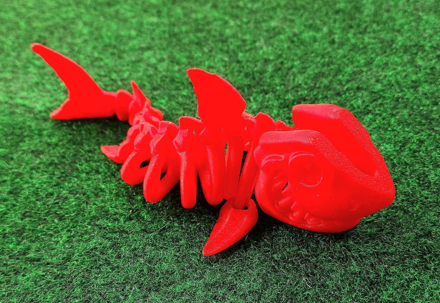 Skeleton Shark