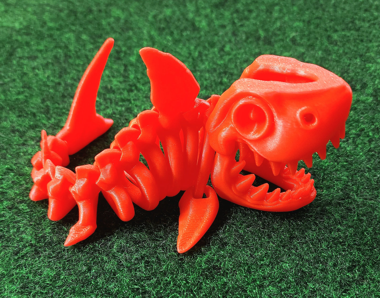 Skeleton Shark