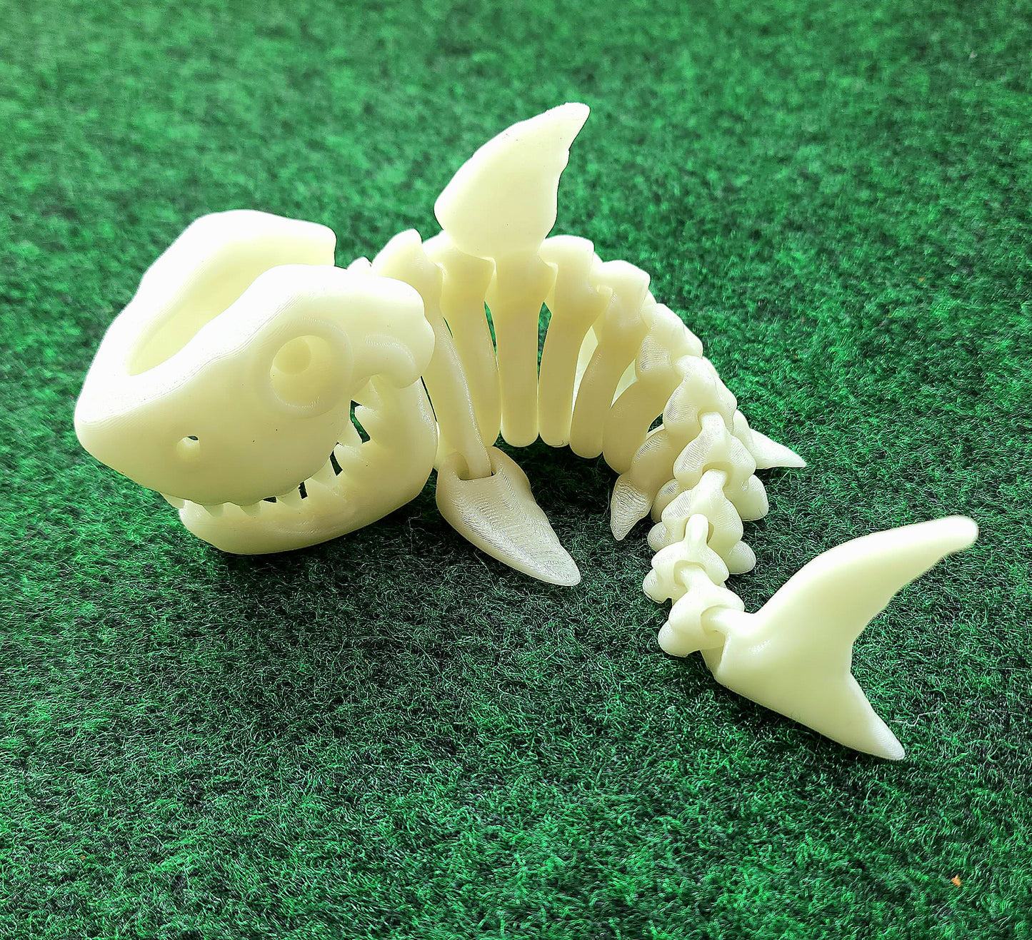 Skeleton Shark