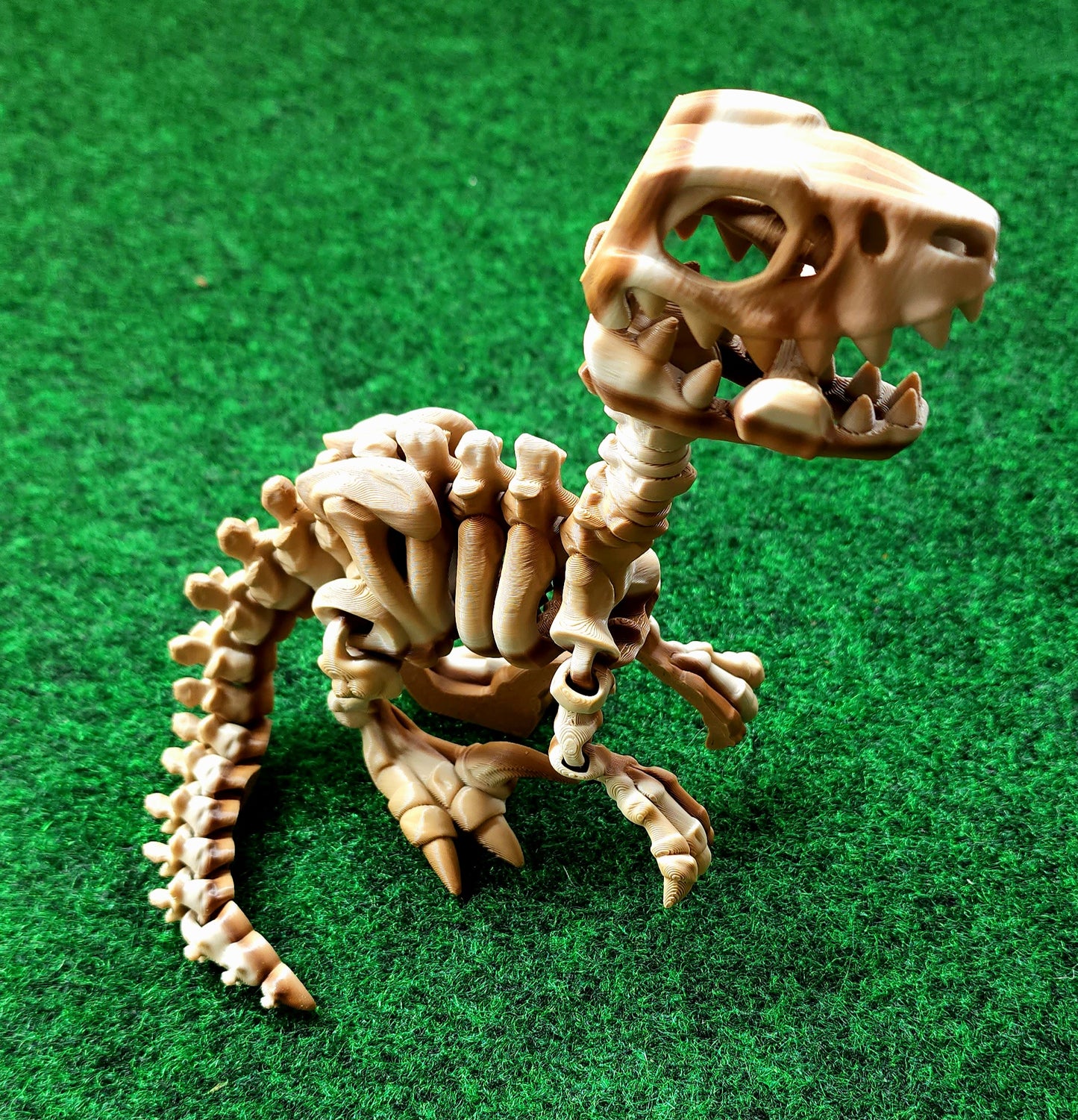 Skeleton Dino (Raptor)