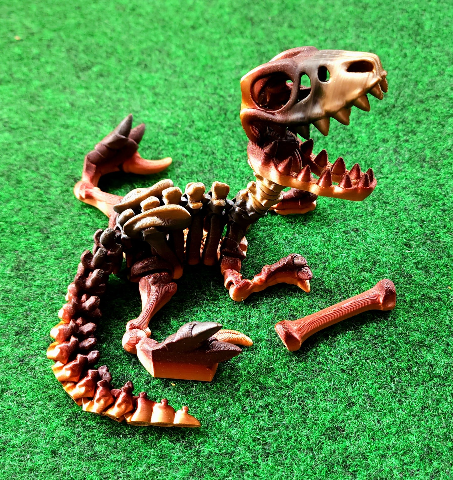 Skeleton Dino (Raptor)