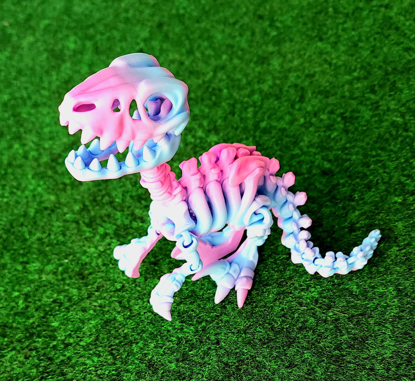 Skeleton Dino (Raptor)