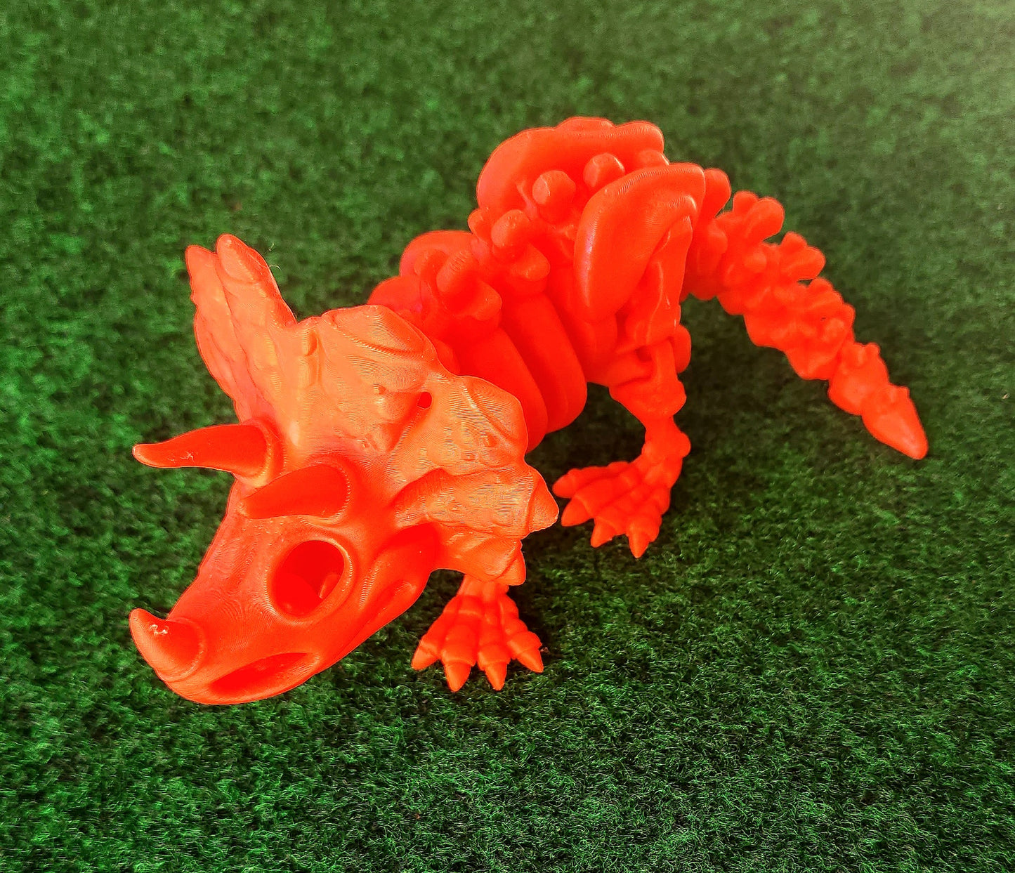 Skeleton Dino (Triceratops)