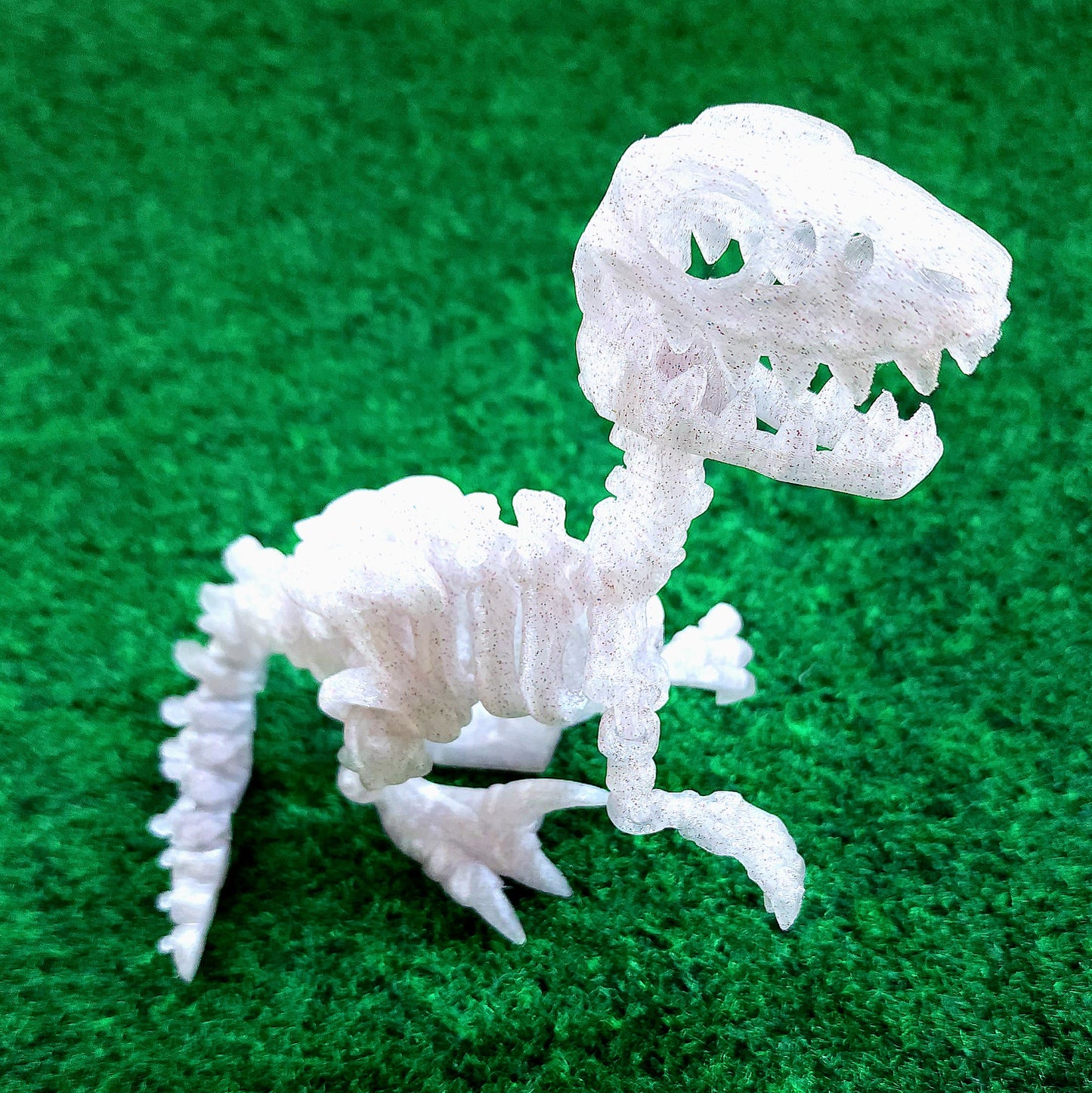 Skeleton Dino (Raptor)