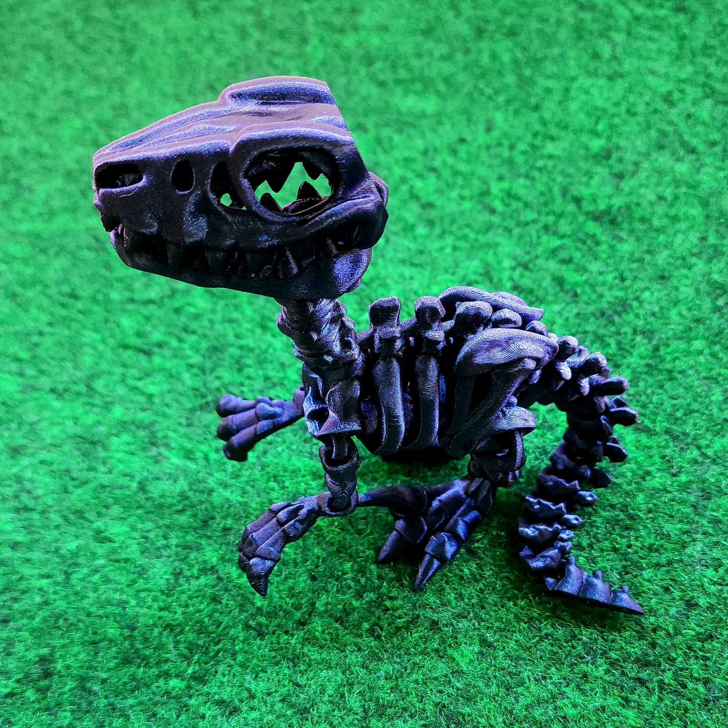 Skeleton Dino (Raptor)