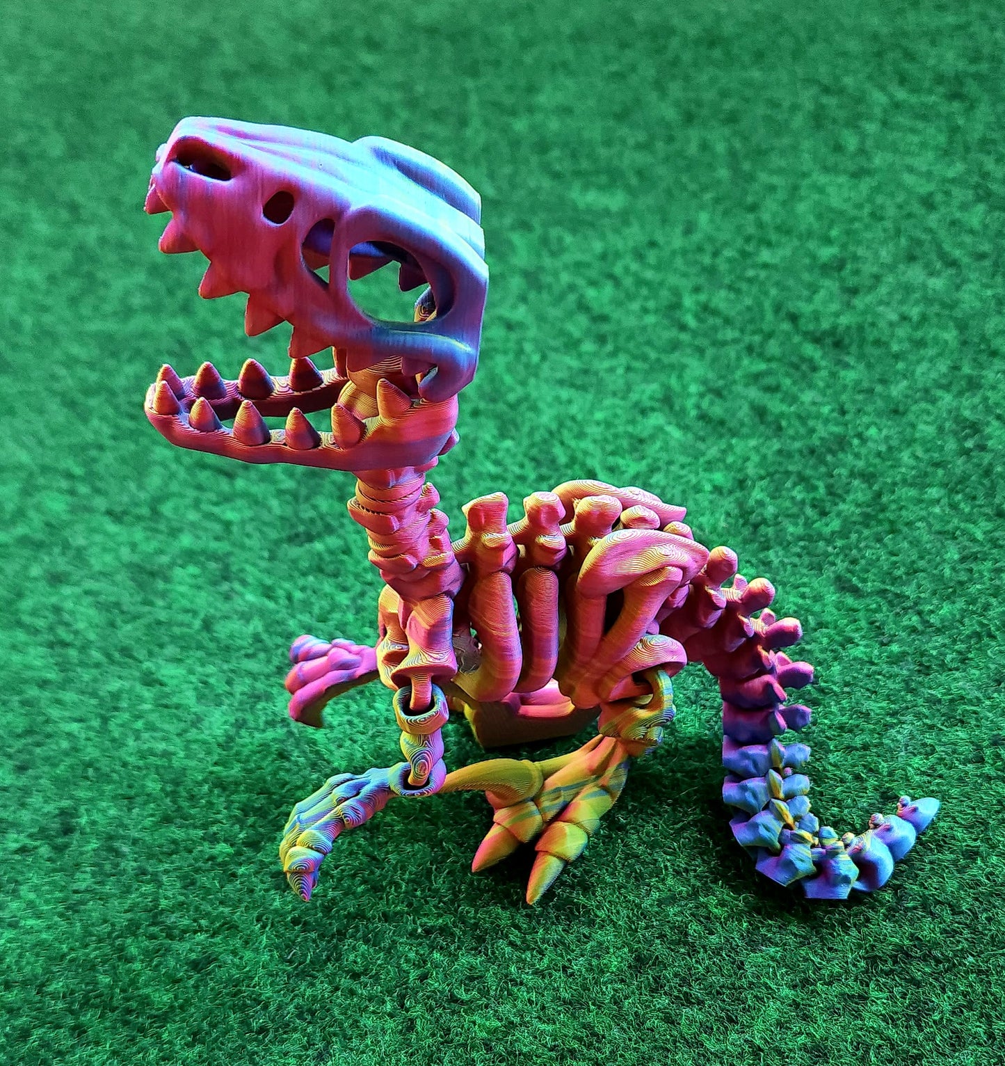 Skeleton Dino (Raptor)