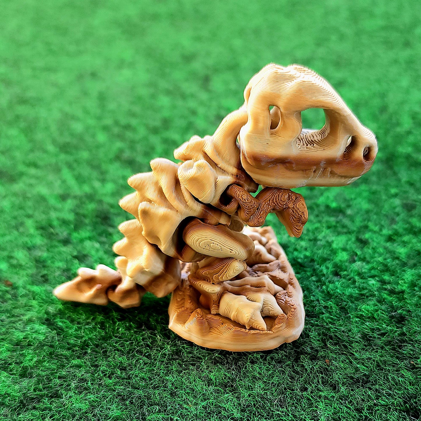 Baby Skeleton T-Rex