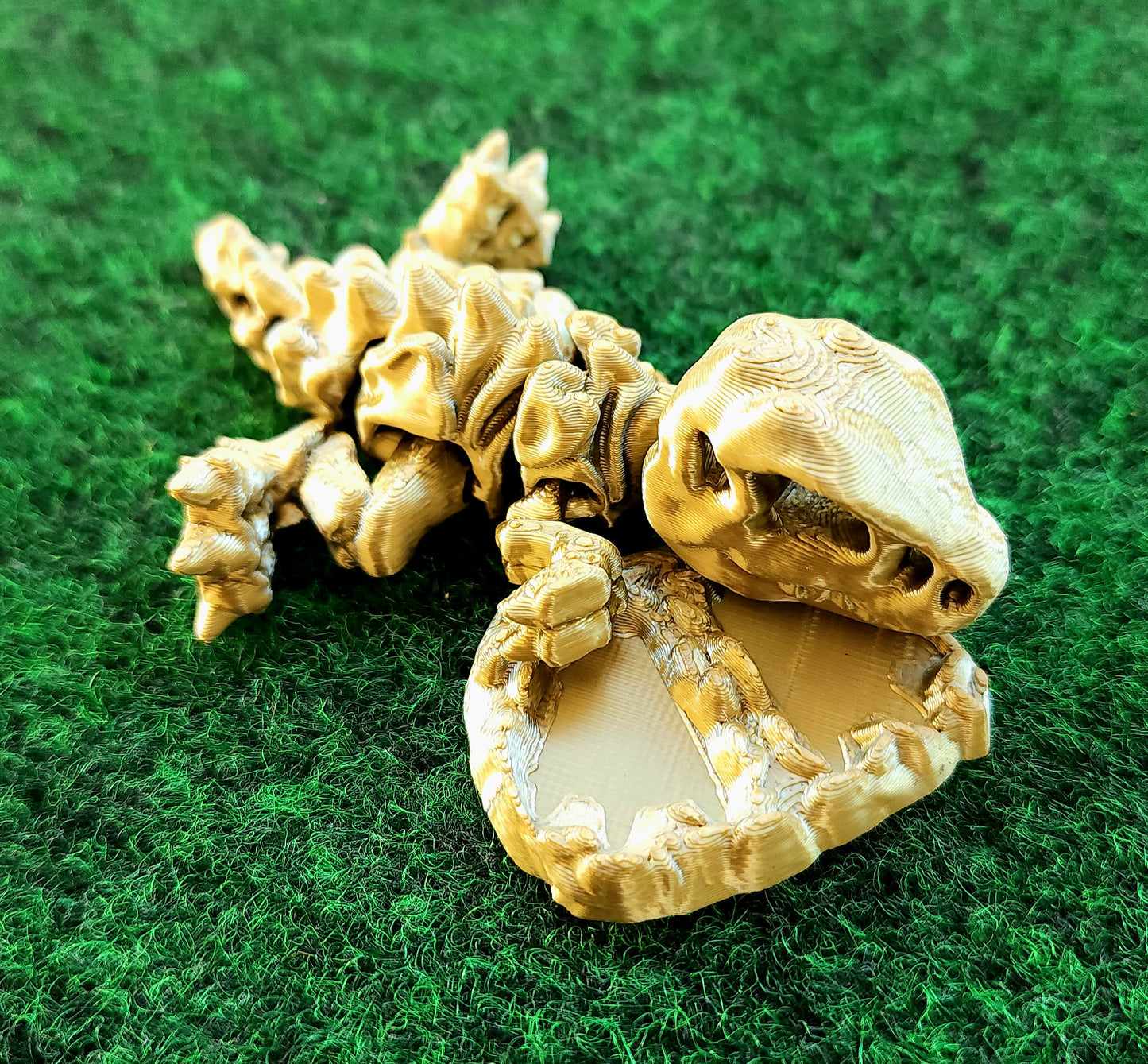 Baby Skeleton T-Rex