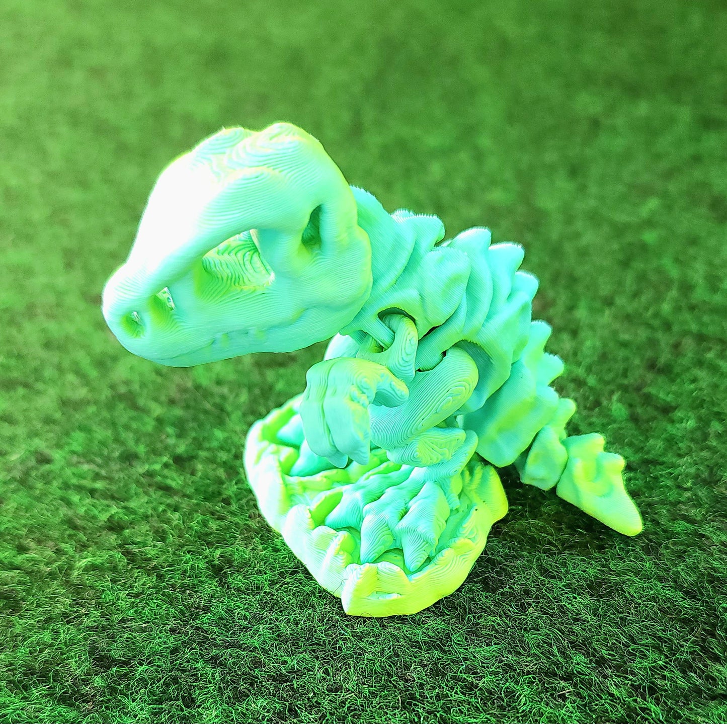 Baby Skeleton T-Rex