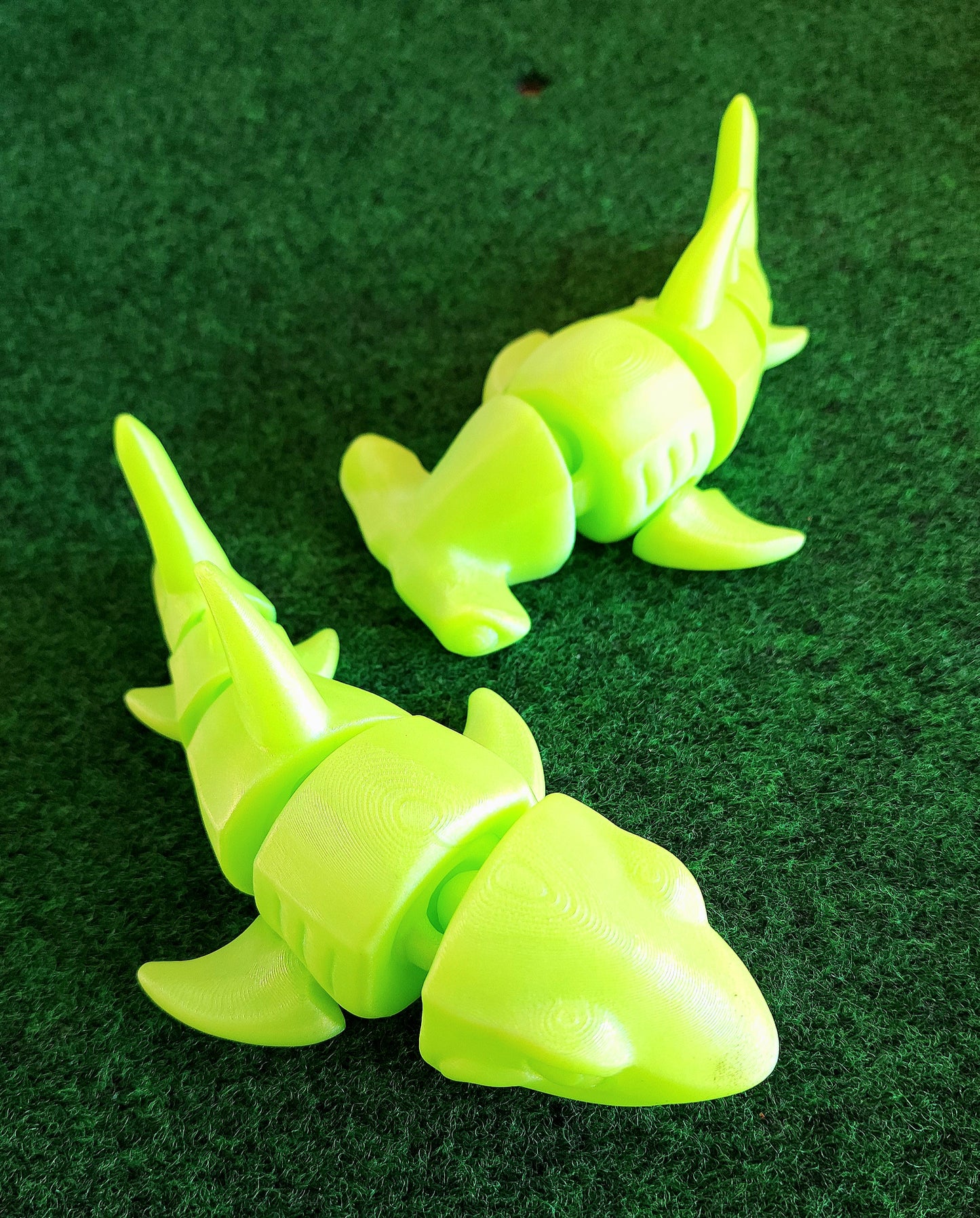Shark (Great White & Hammerhead)