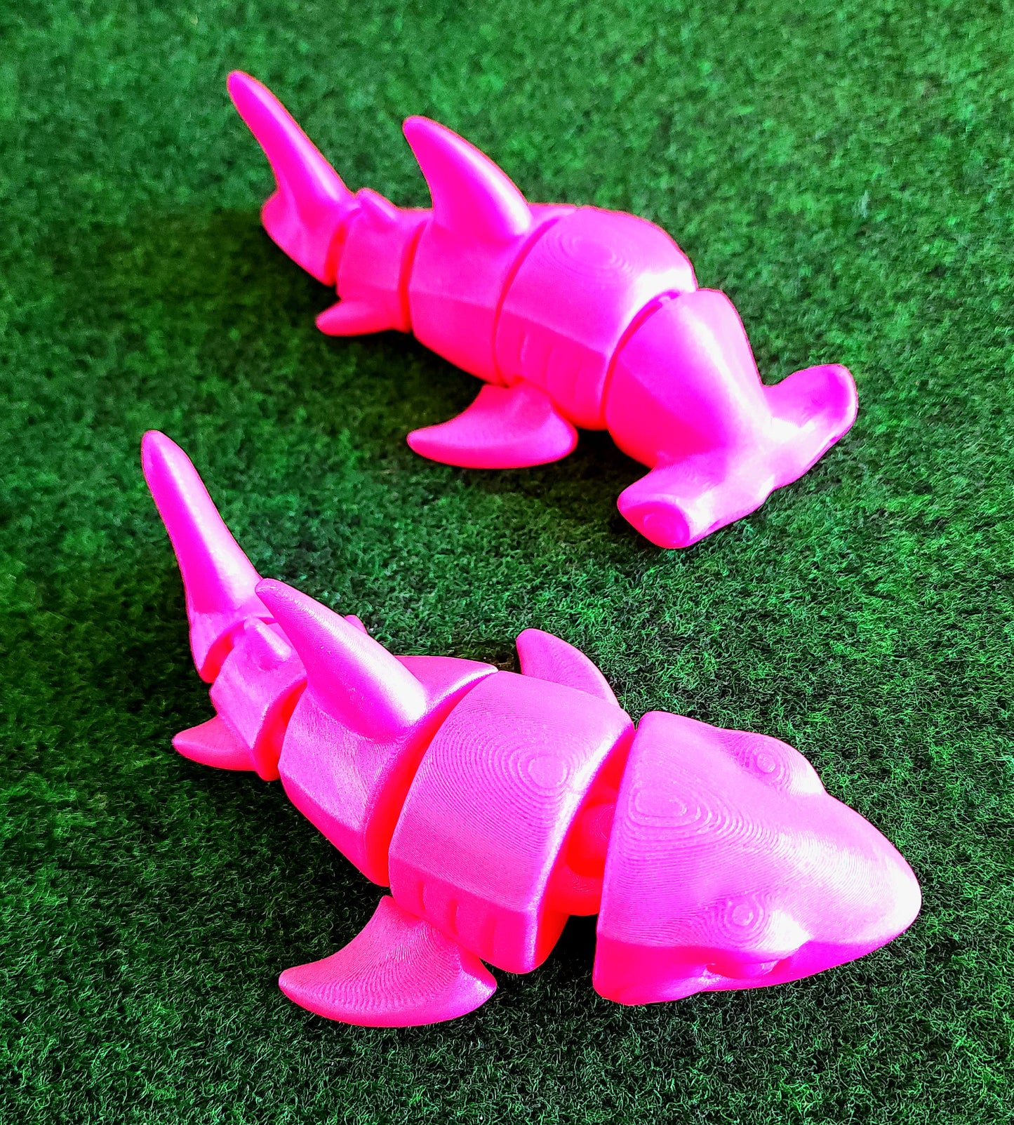 Shark (Great White & Hammerhead)