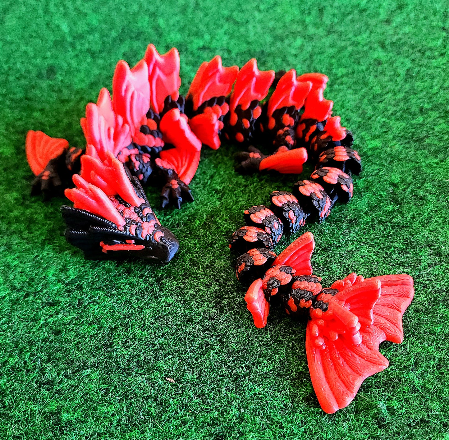 Dragon (Koi)