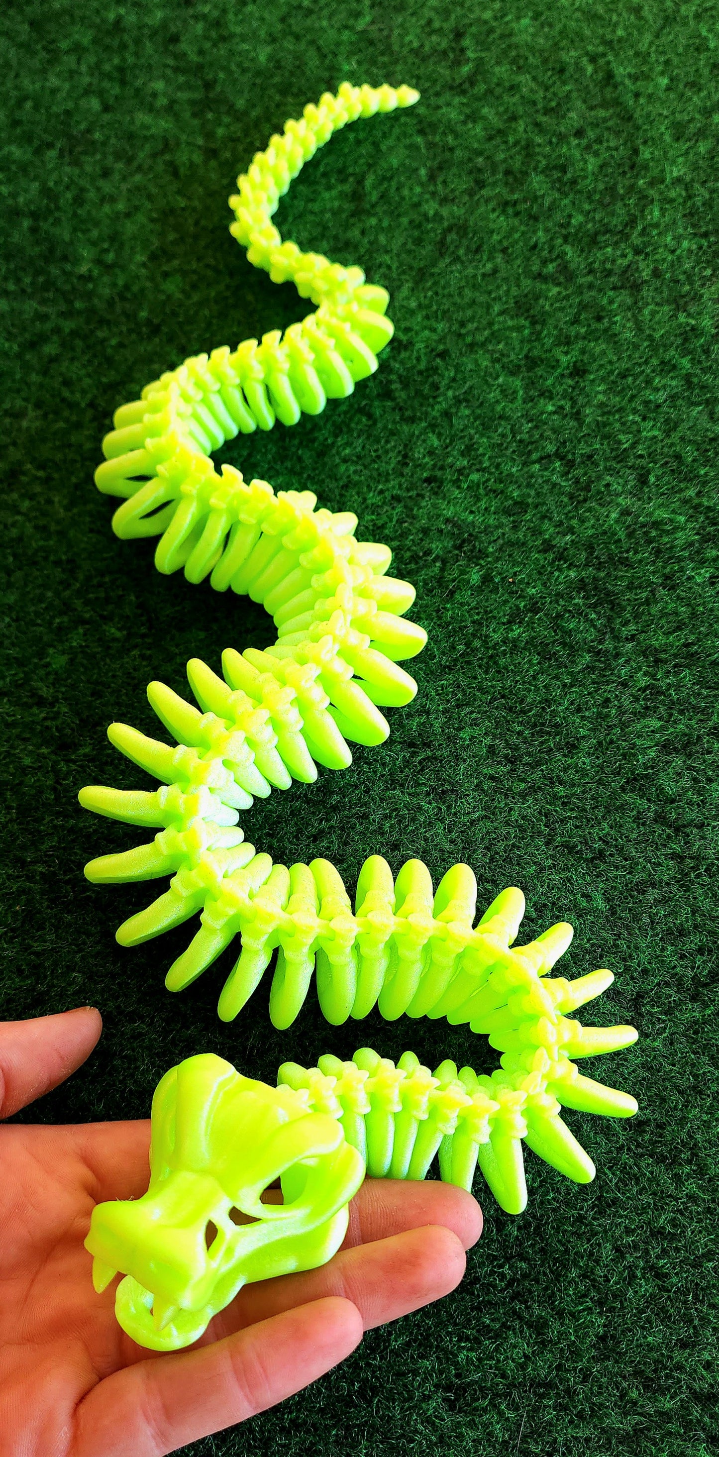 Skeleton Snake