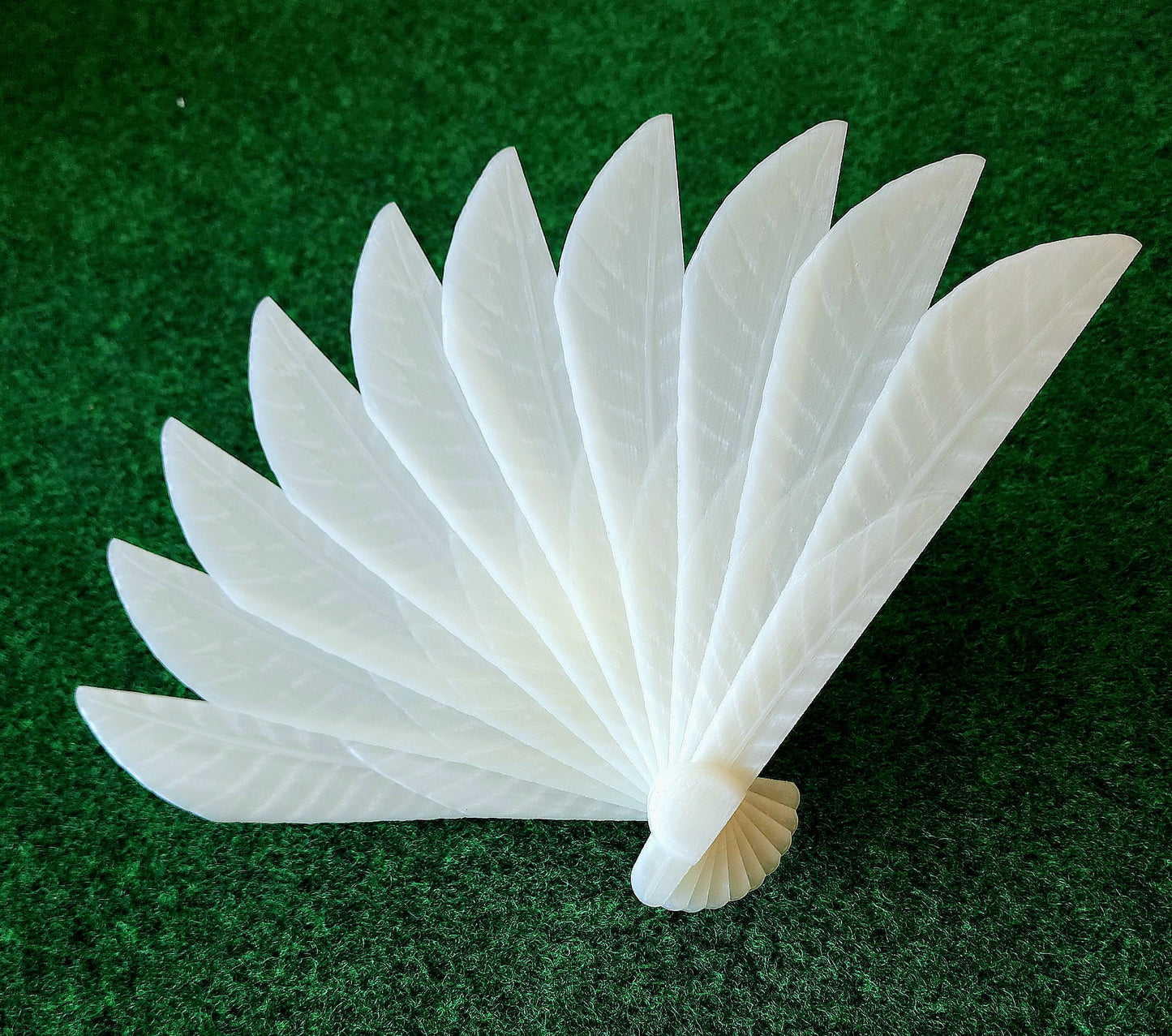 Feather Fan