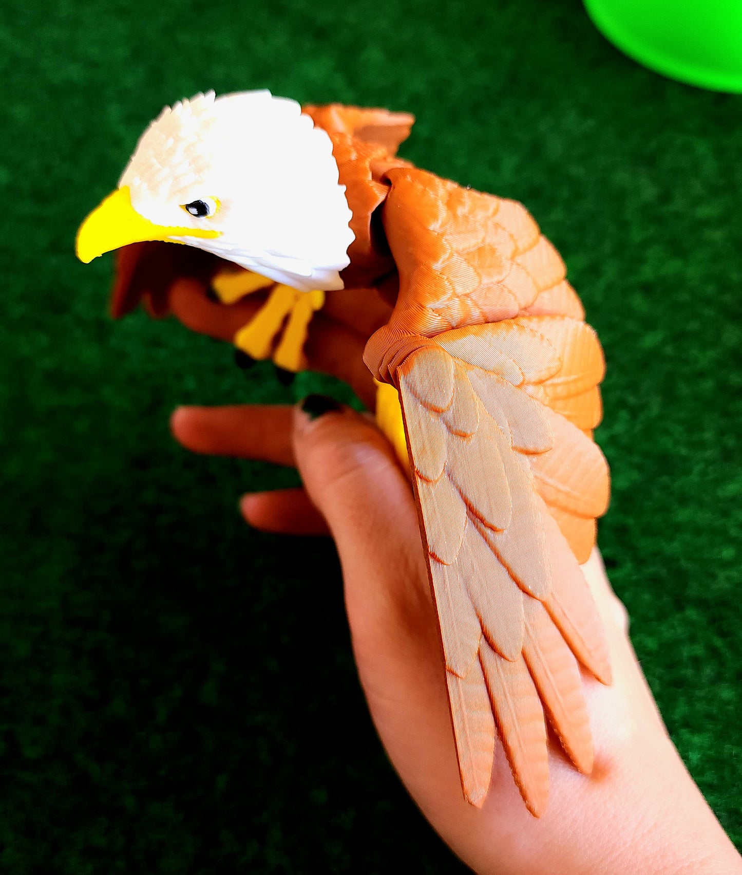 Bird (Bald Eagle)