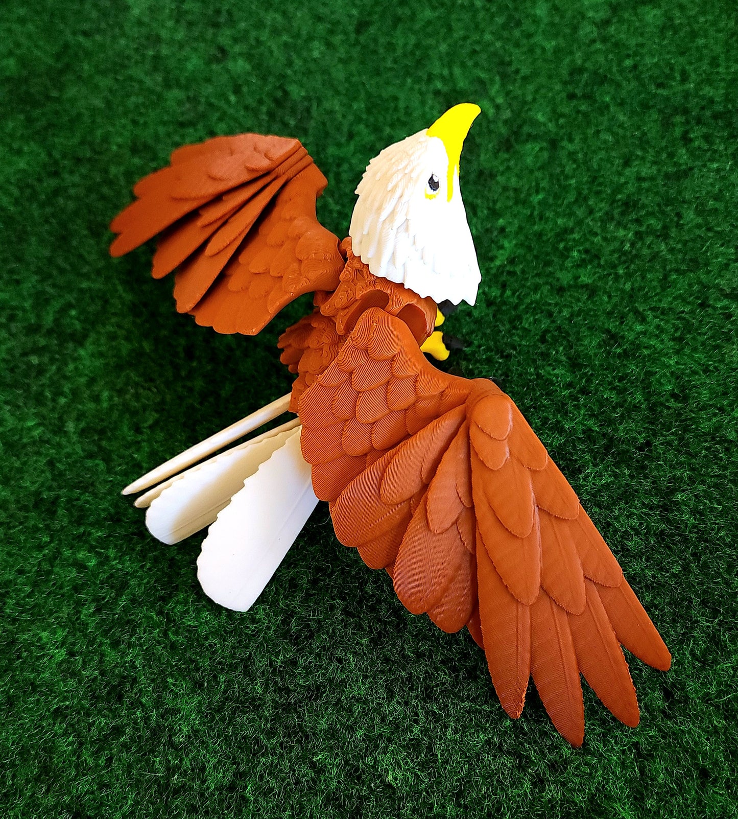 Bird (Bald Eagle)