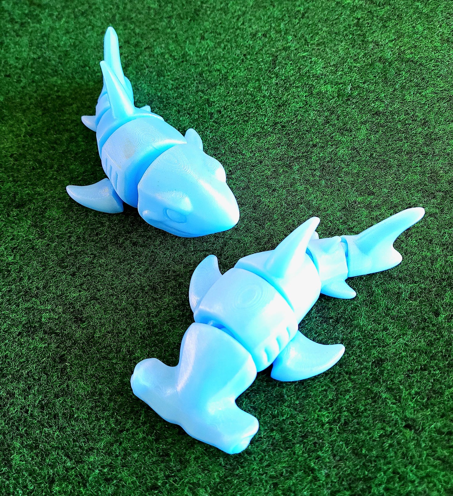 Shark (Great White & Hammerhead)