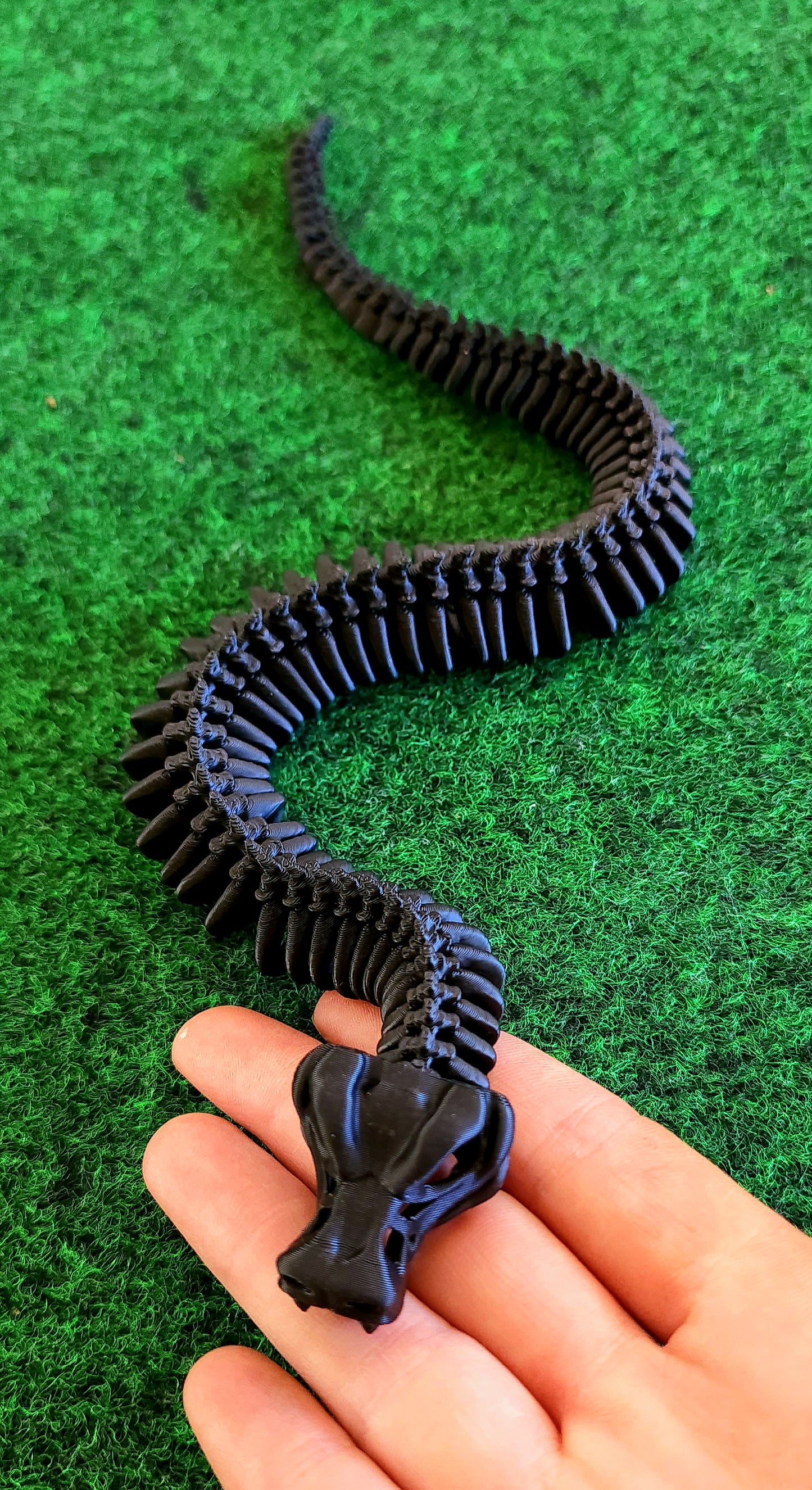 Skeleton Snake (Baby)
