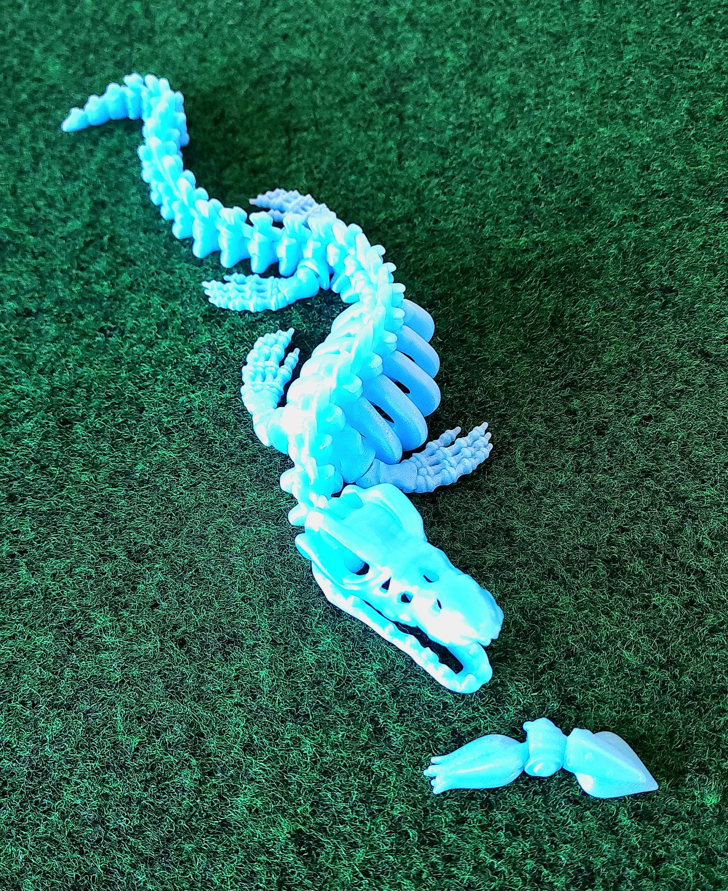 --Skeleton Mosasaurus 💥NEW $1 OFF💥--