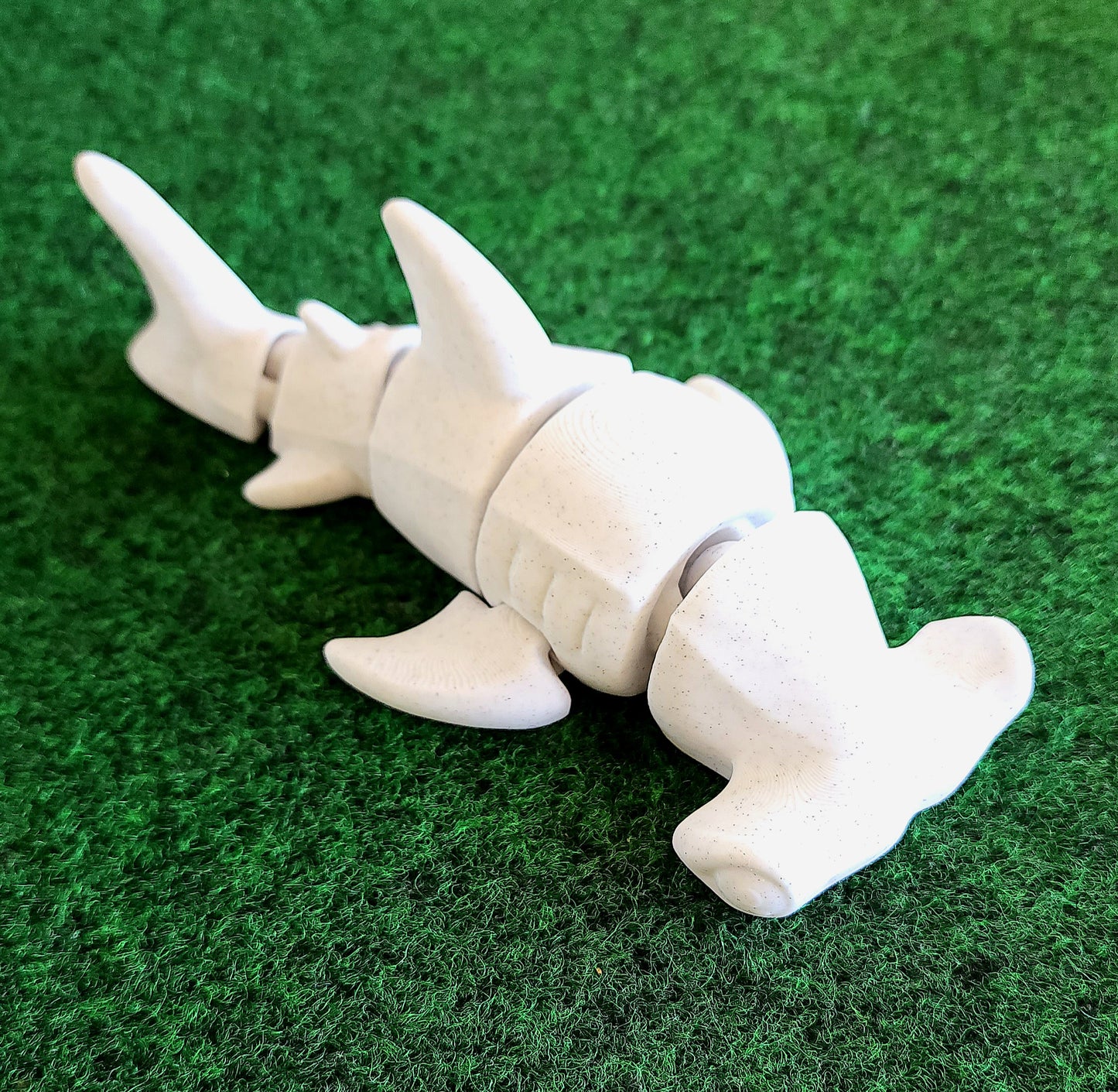 Shark (Great White & Hammerhead)