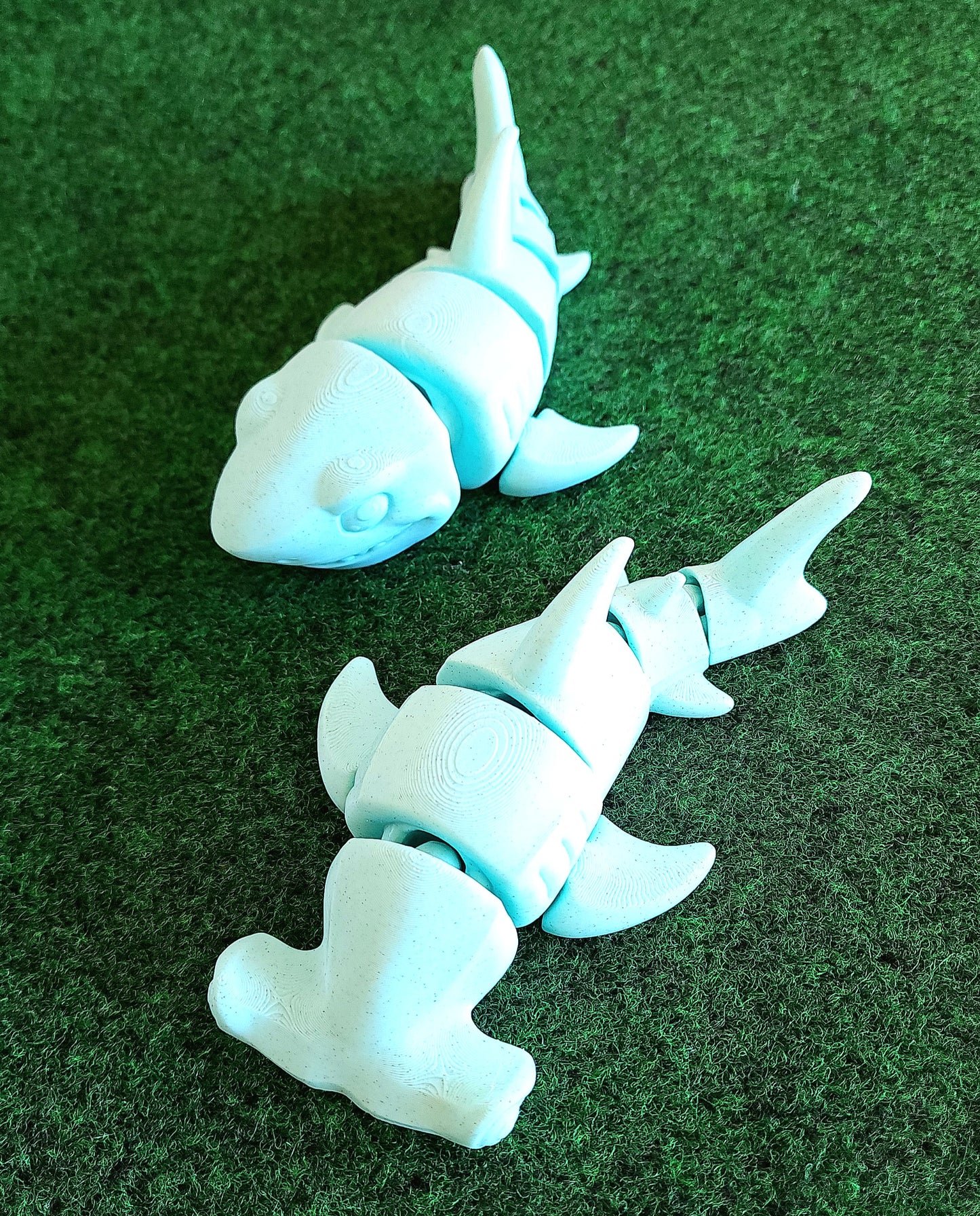 Shark (Great White & Hammerhead)