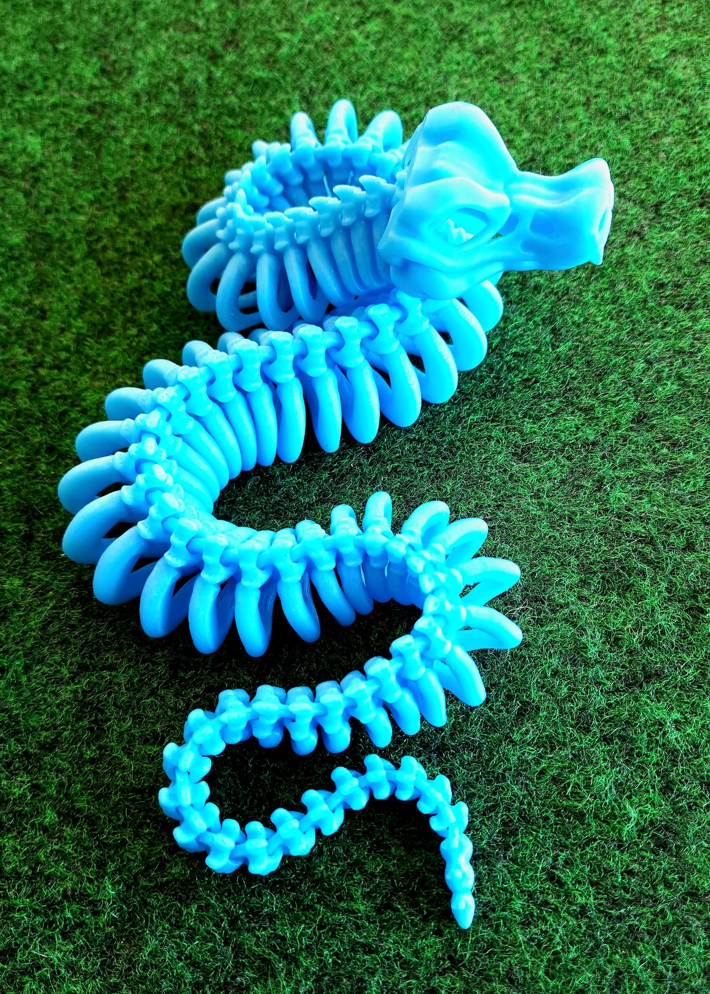 Skeleton Snake