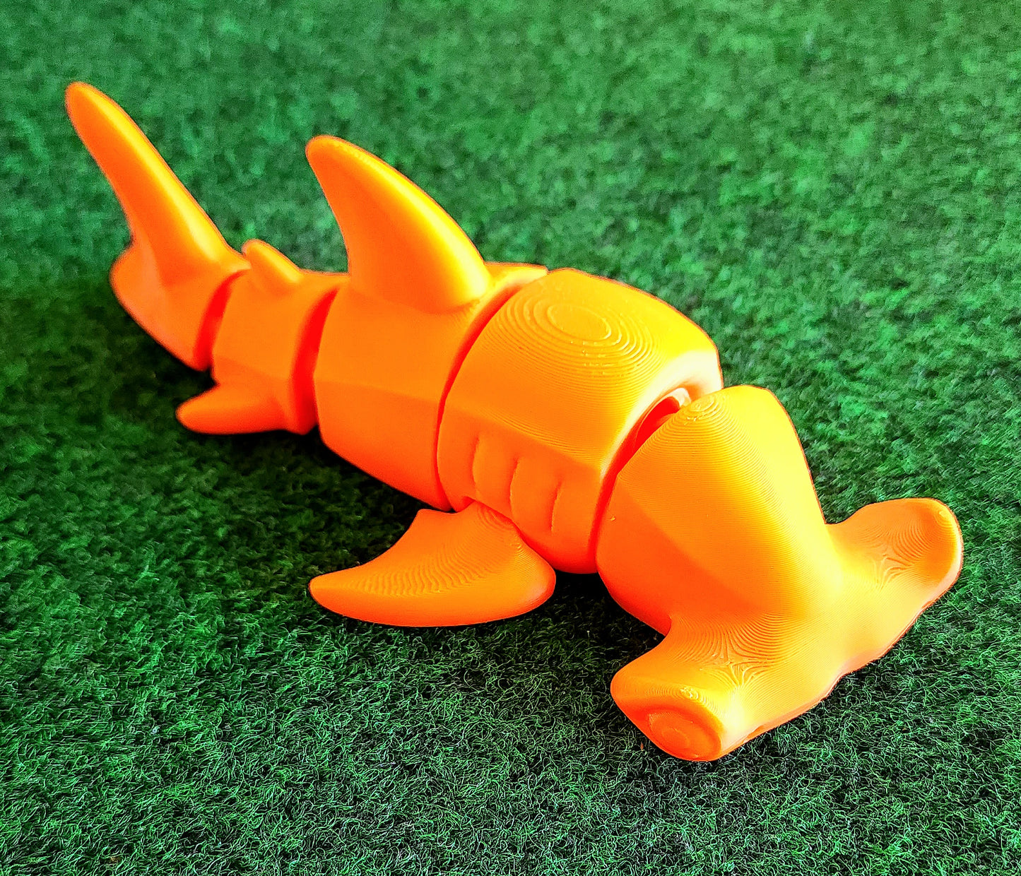 Shark (Great White & Hammerhead)