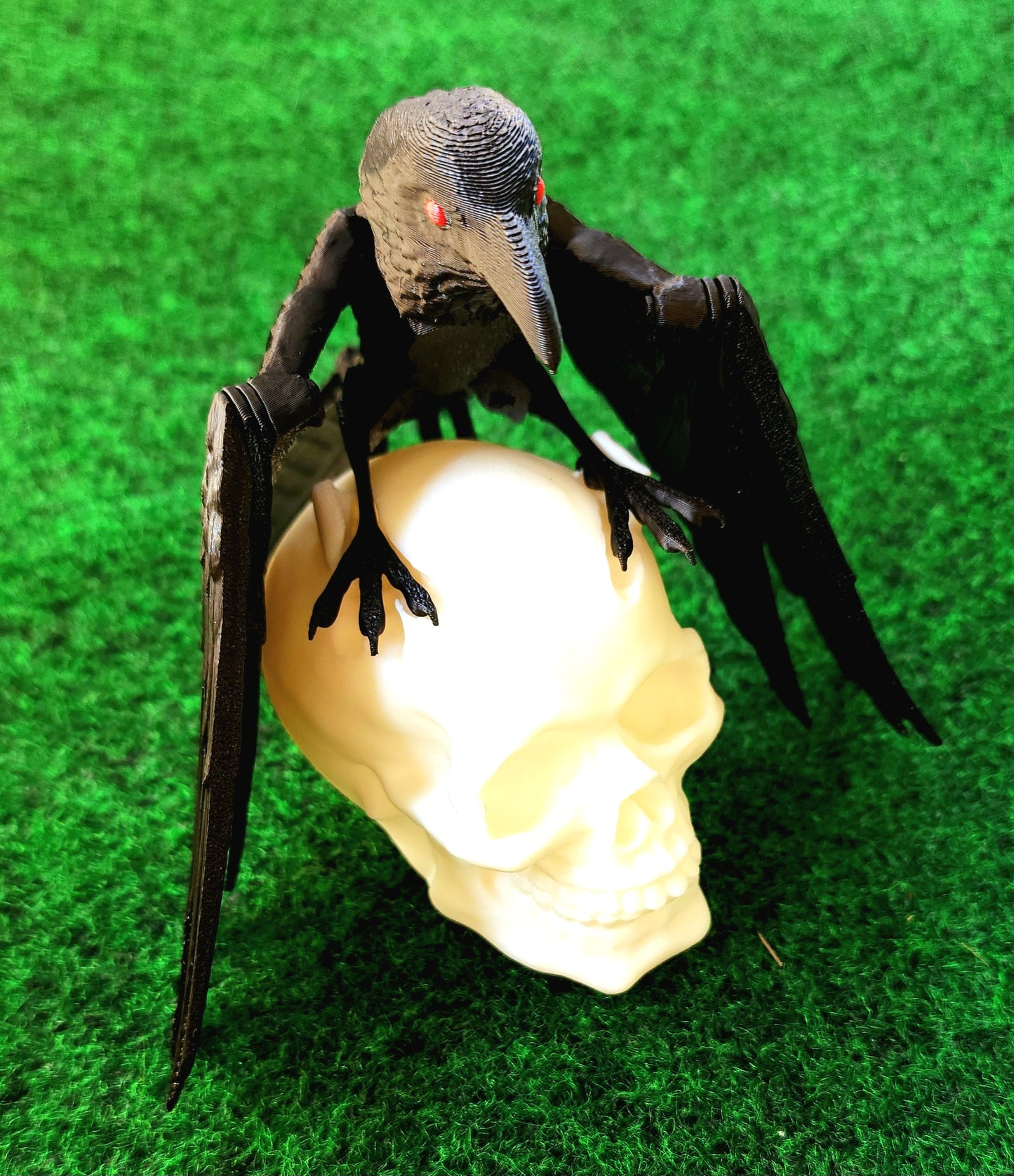 Bird (Raven & Skull)