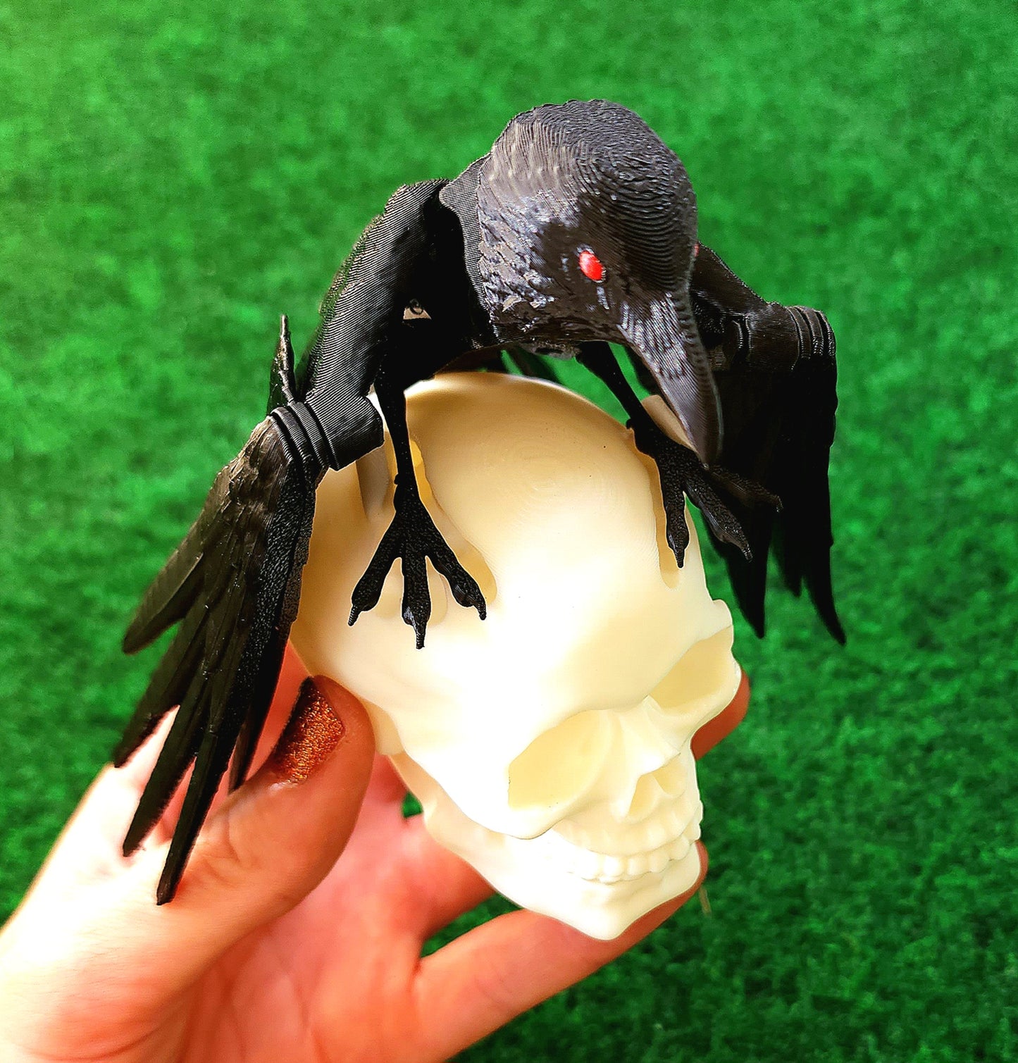 Bird (Raven & Skull)