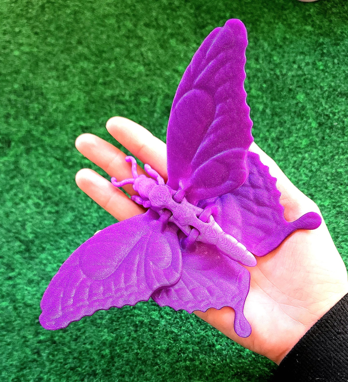 Butterfly