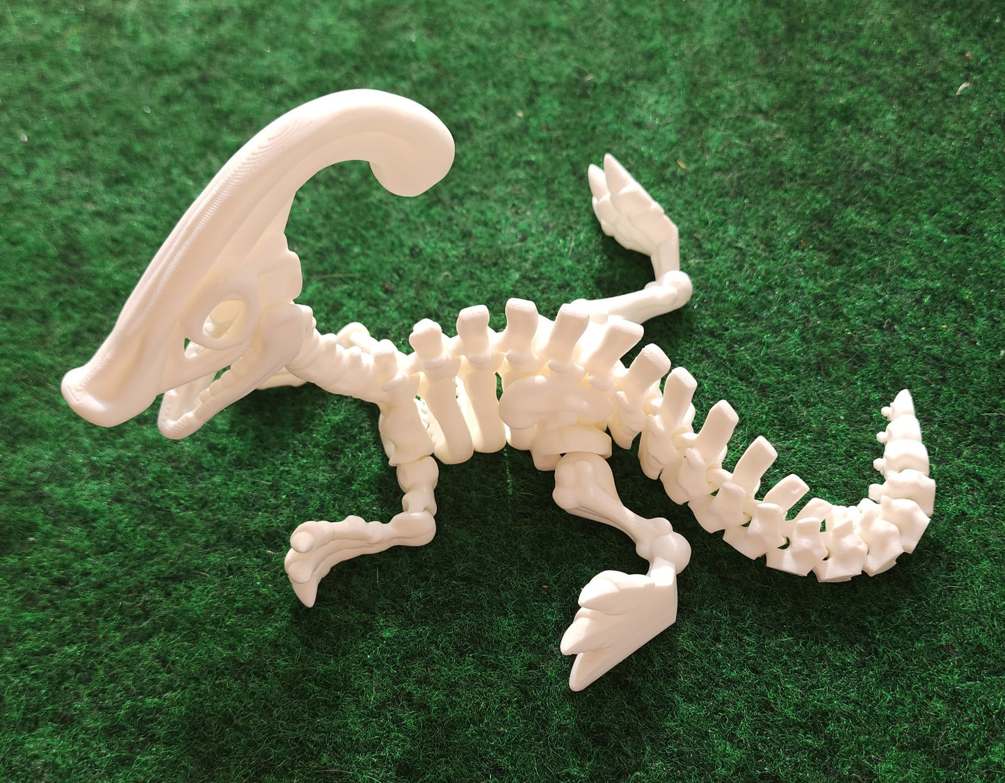 --Skeleton Parasaure💥NEW $1 OFF💥--