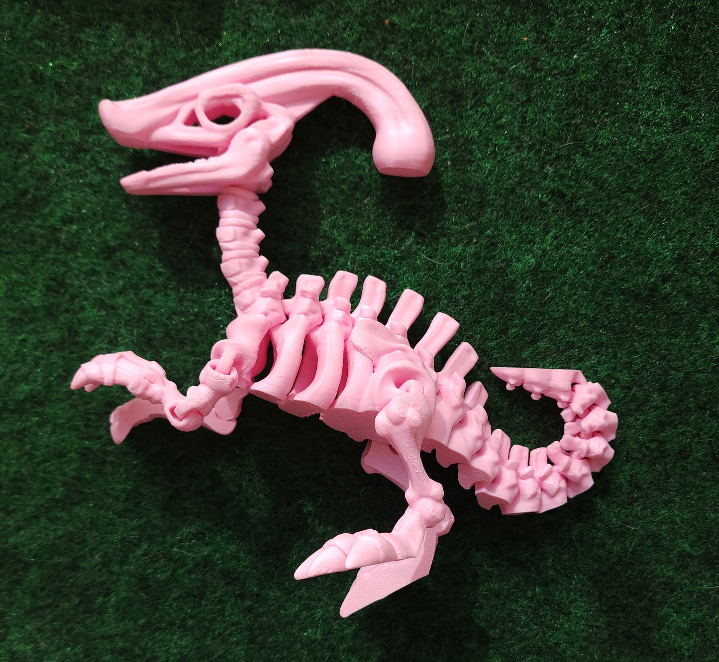 --Skeleton Parasaure💥NEW $1 OFF💥--