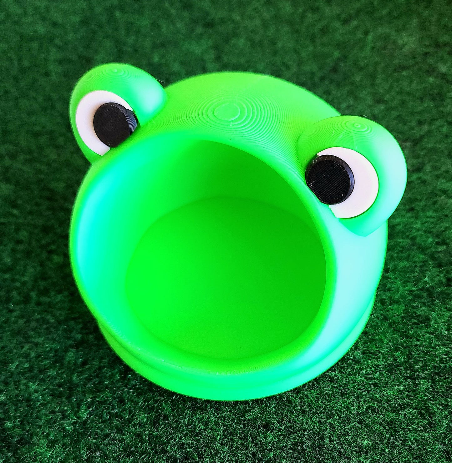 Frog Home